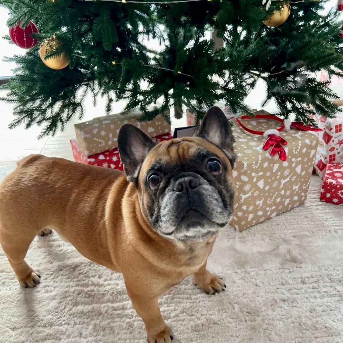 Фото Garnet Holiday Мир