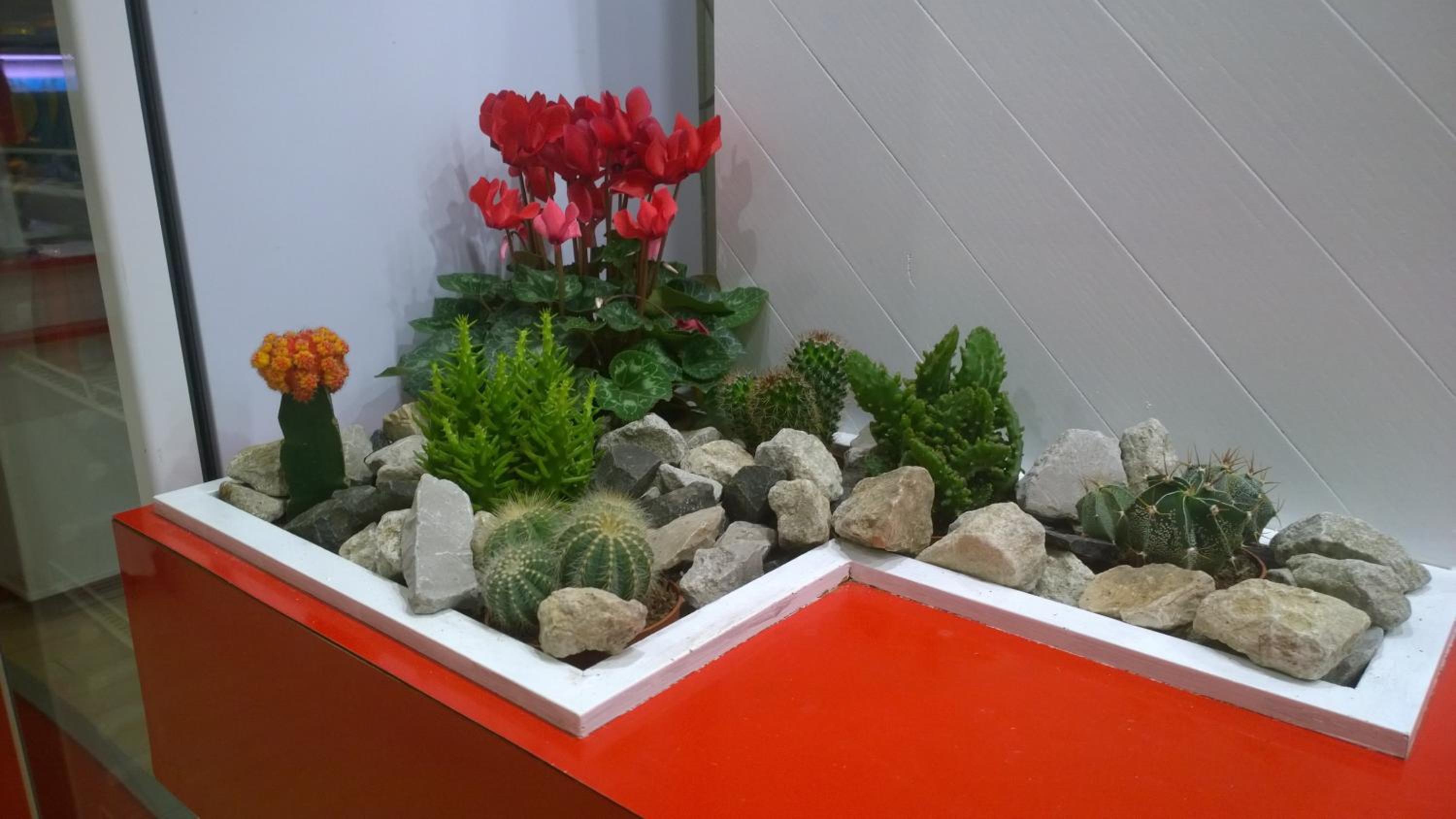 Фото Hotel Canasta