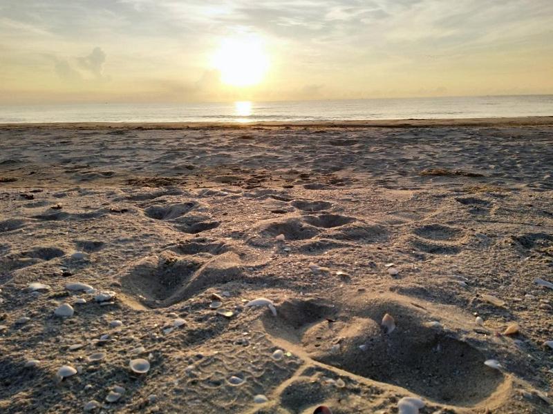 Фото La Playa Beach Front Pool Villa Cha-am