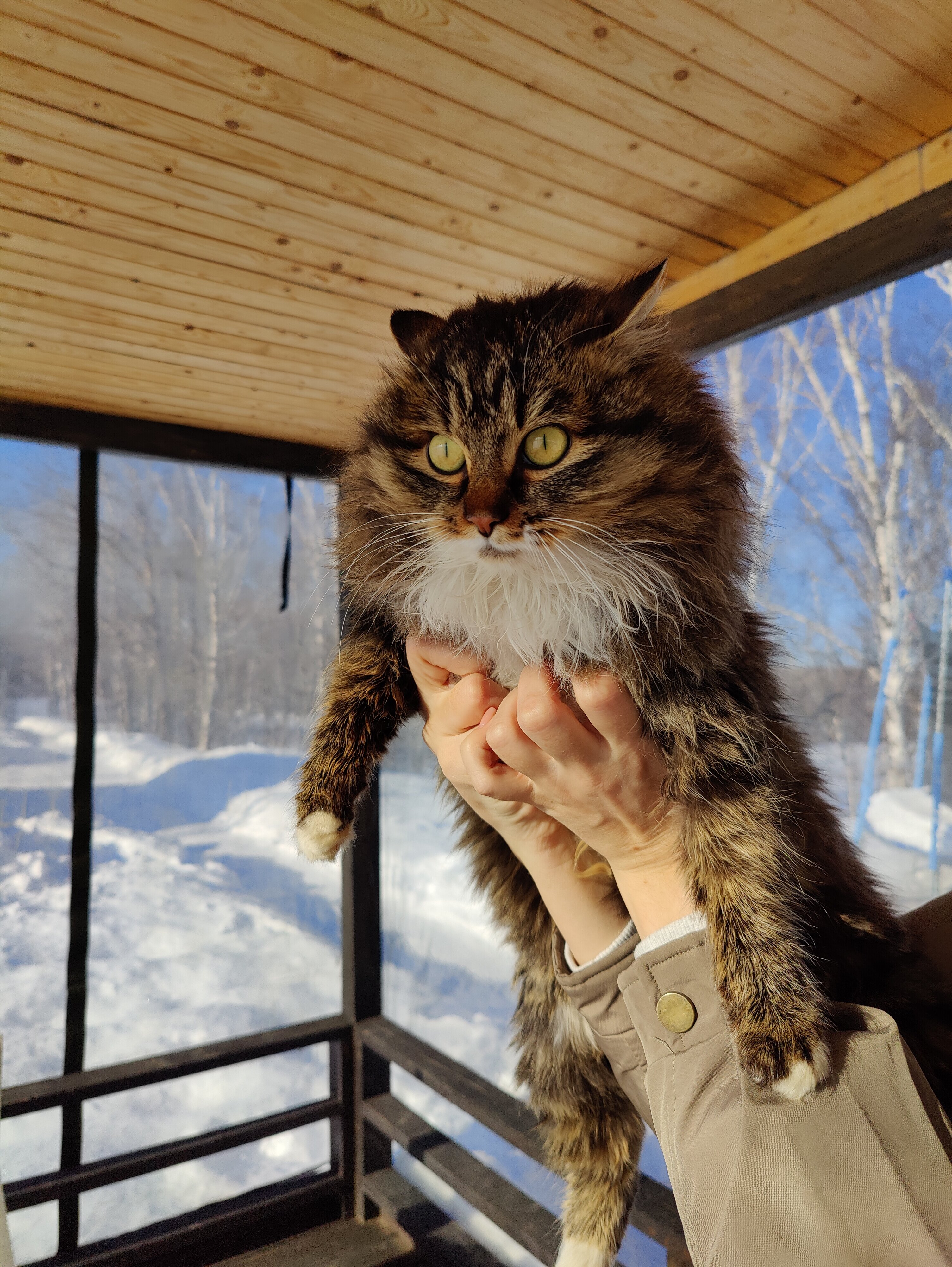 Фото Шале на воде