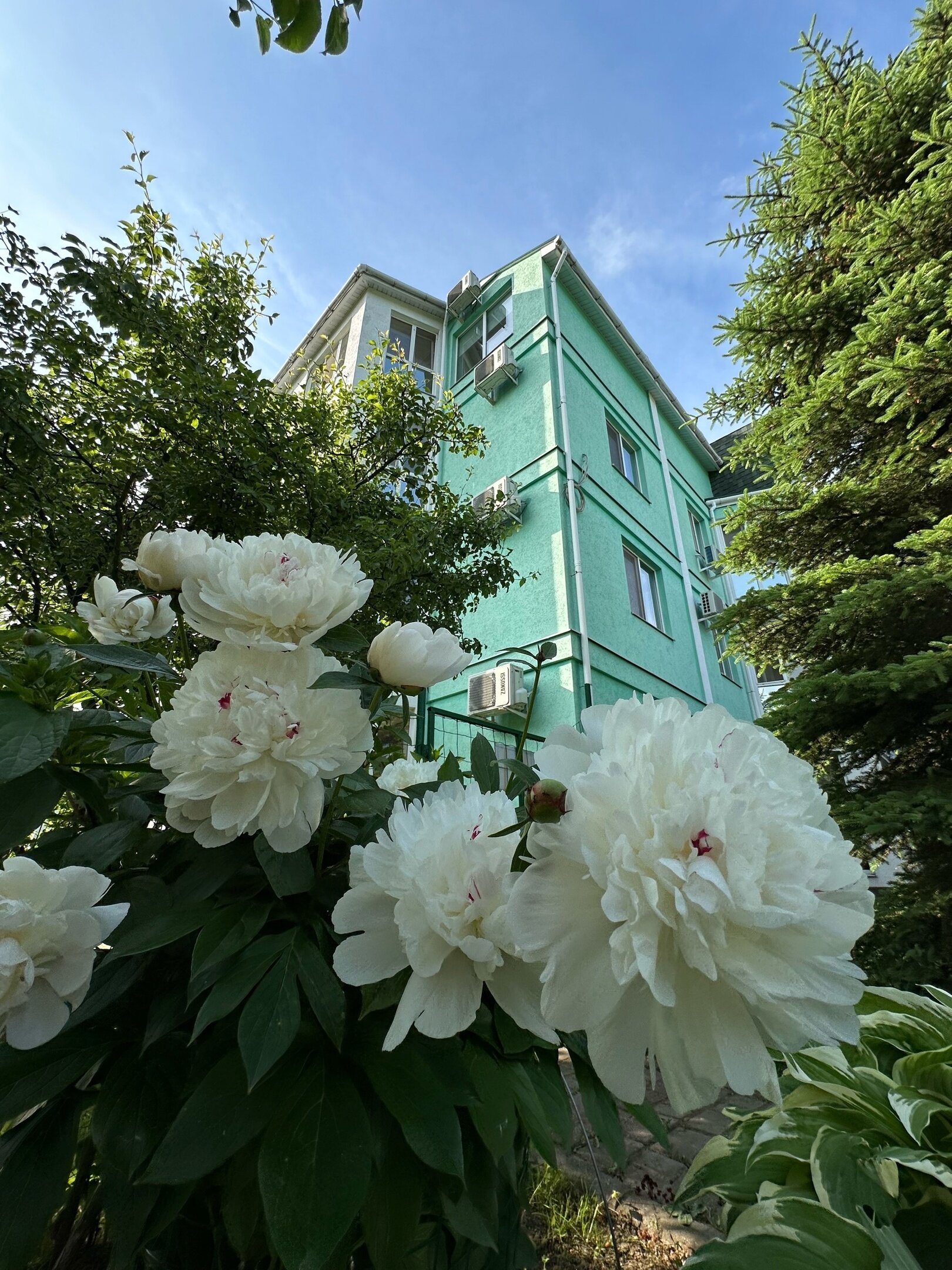 Фото отеля 4