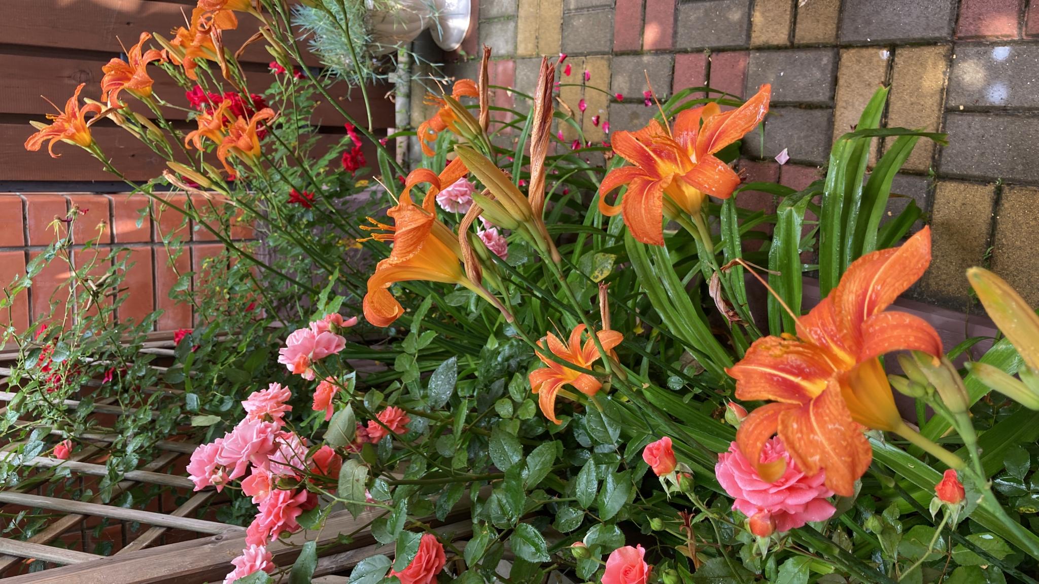 Фото Любимый дом