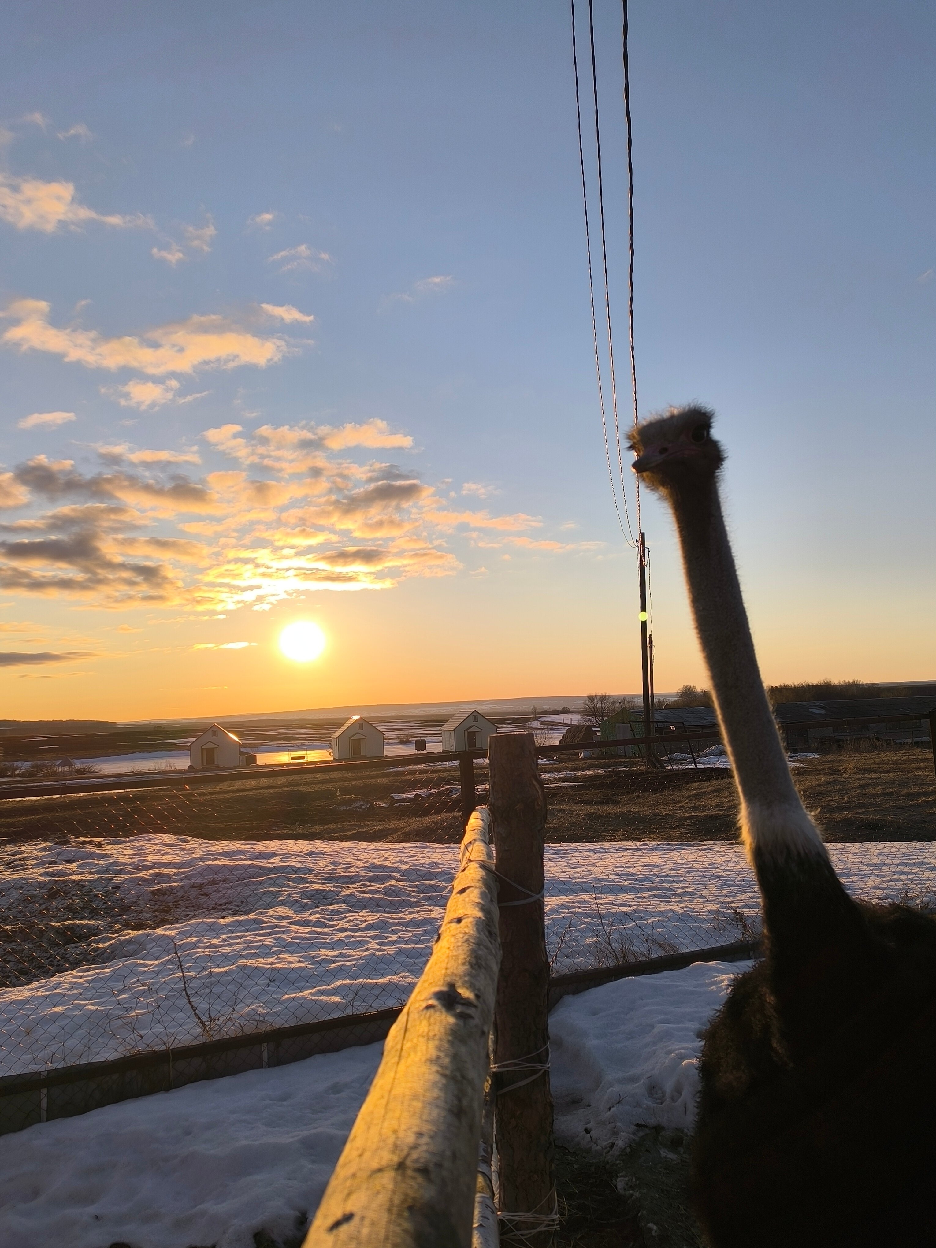 Фото Солнечный Пригорок