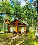Bambi Land (sadovoye tovarishchestvo Tikhaya Gorka, 4), hotel