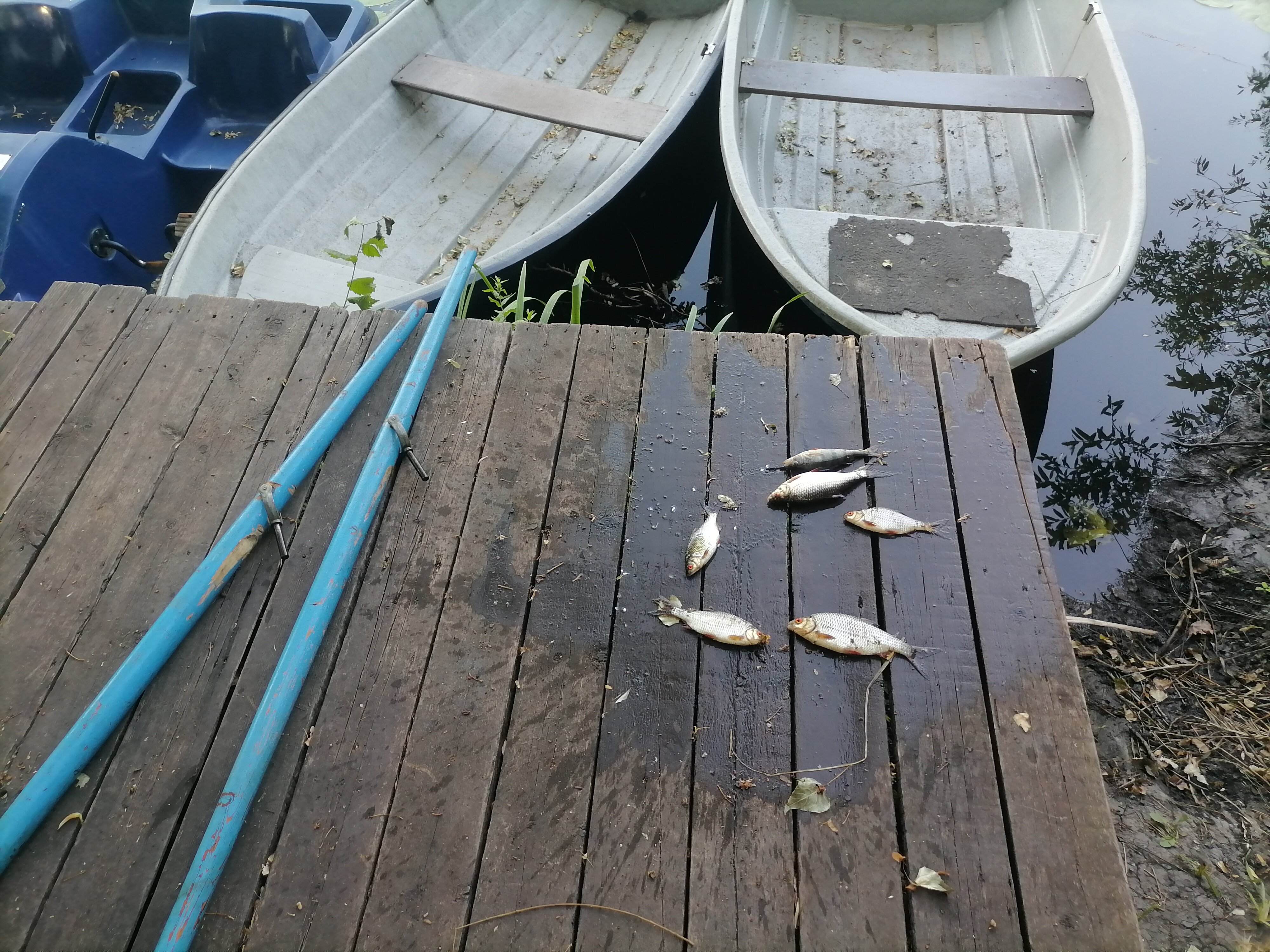 Фото Волшебница