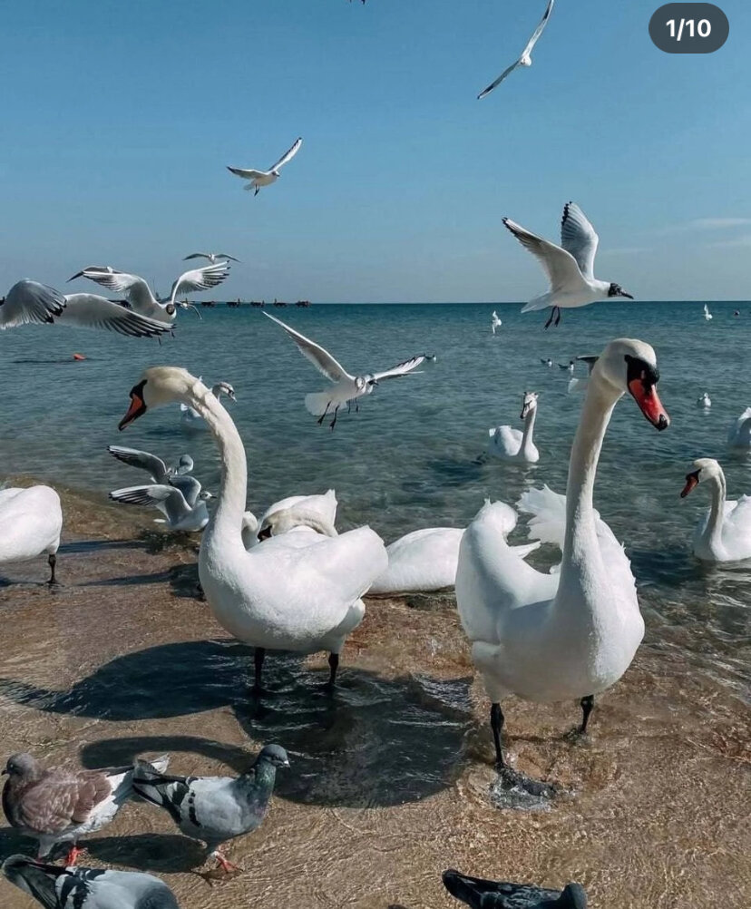 Фото Крепость Кафа