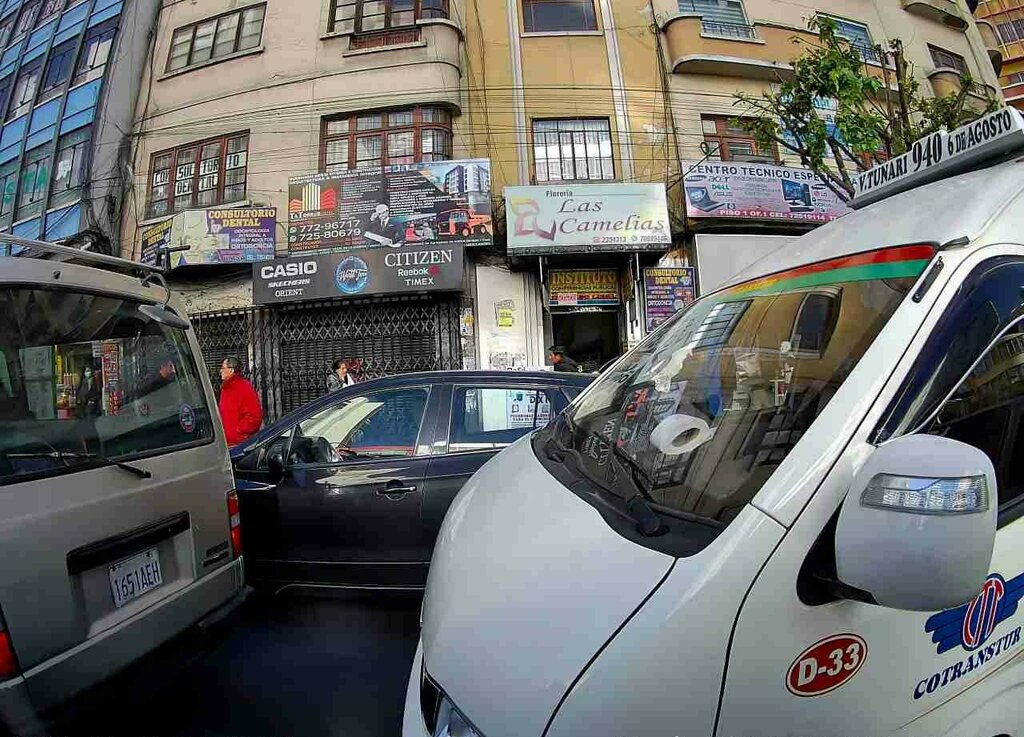 Gardening shop Florería Las Camelias, La Paz, photo