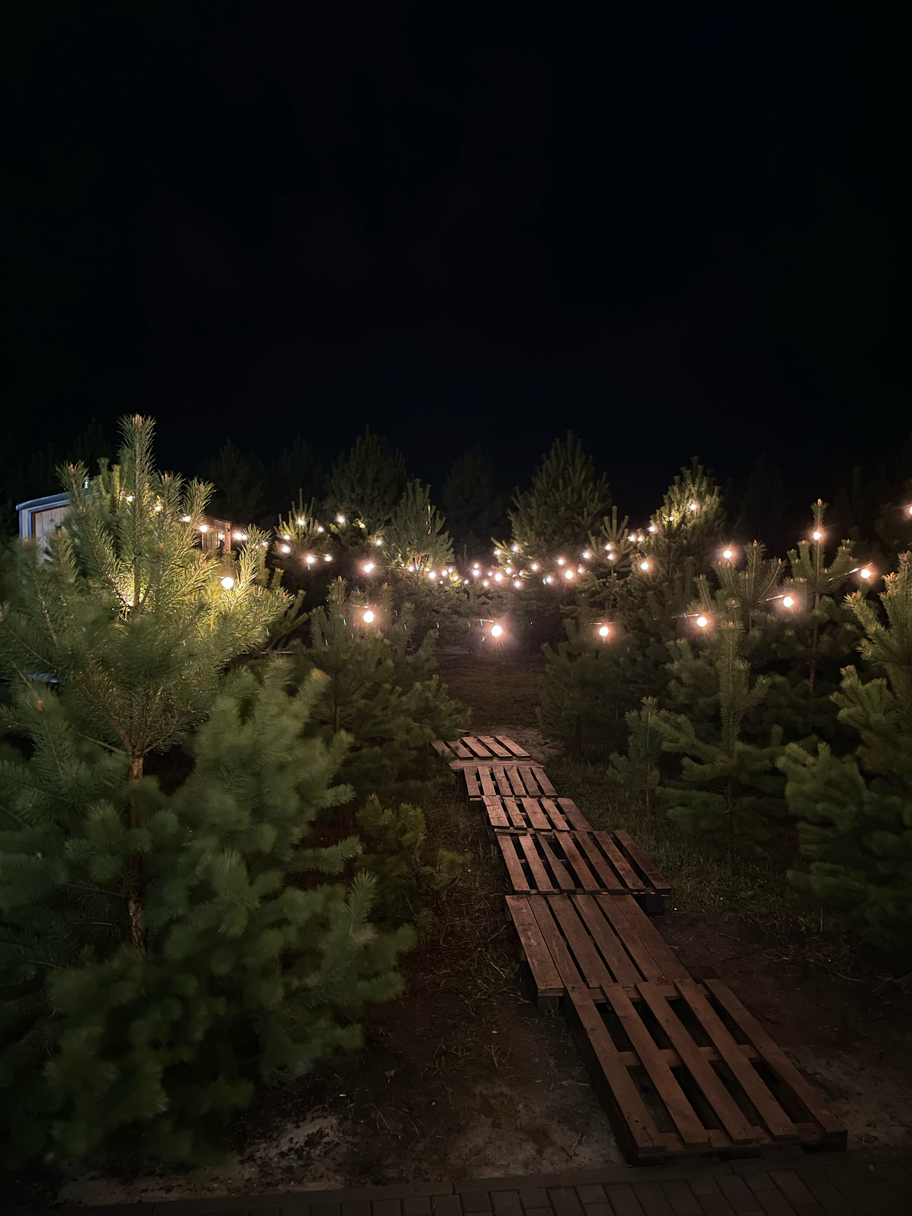 Фото Ретрит Плейс