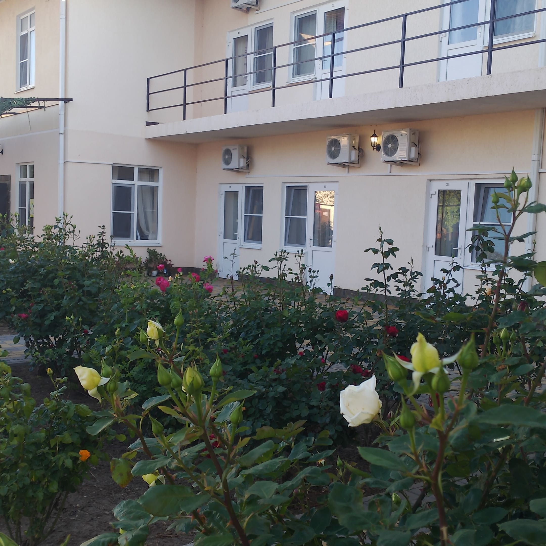 Фото Султан