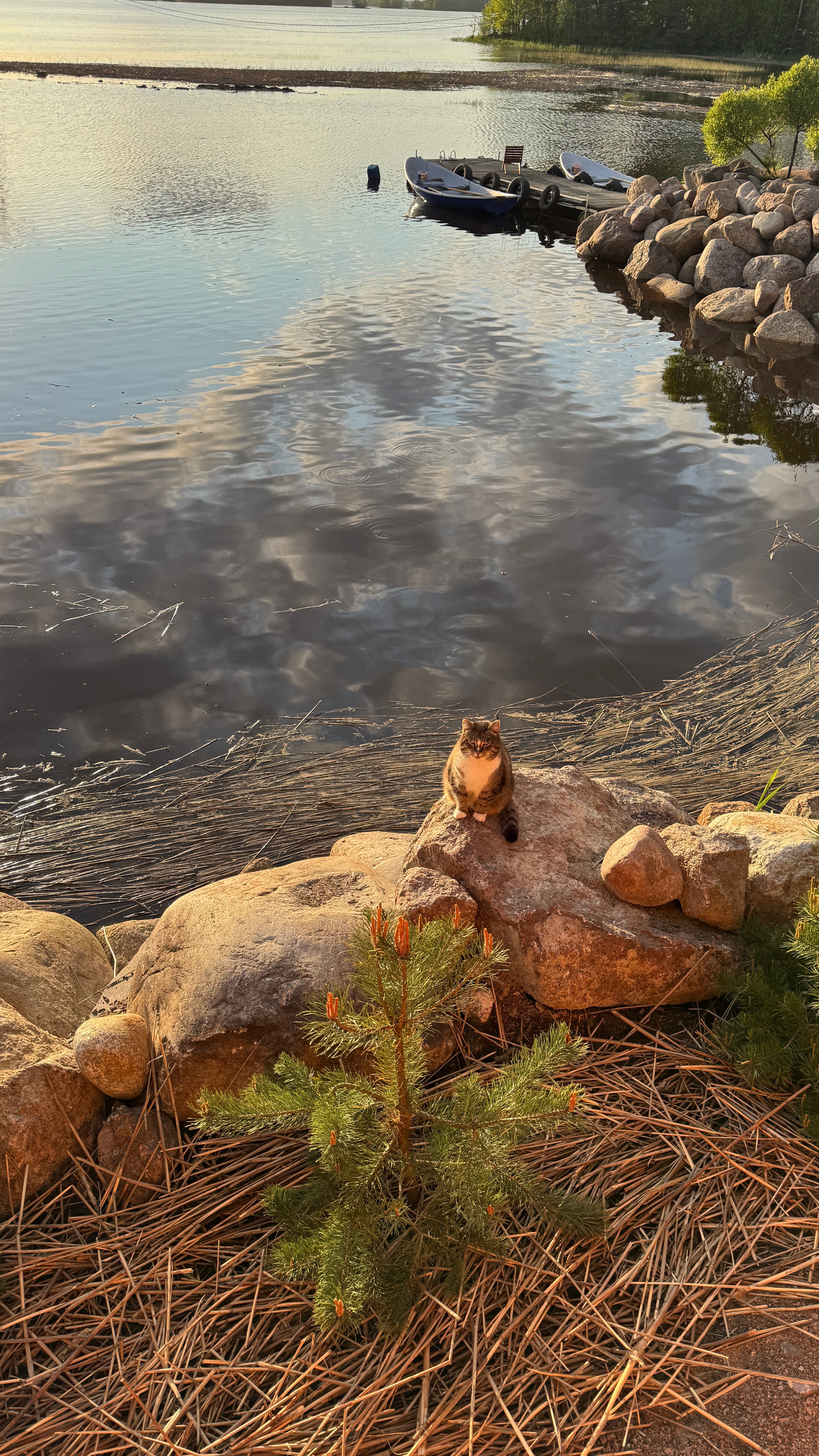 Фото Поместье Лесная бухта