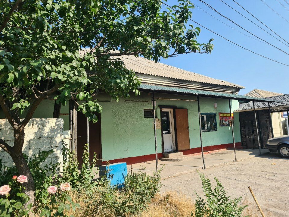 Fast food Tandoor samsa, Chimkent, photo