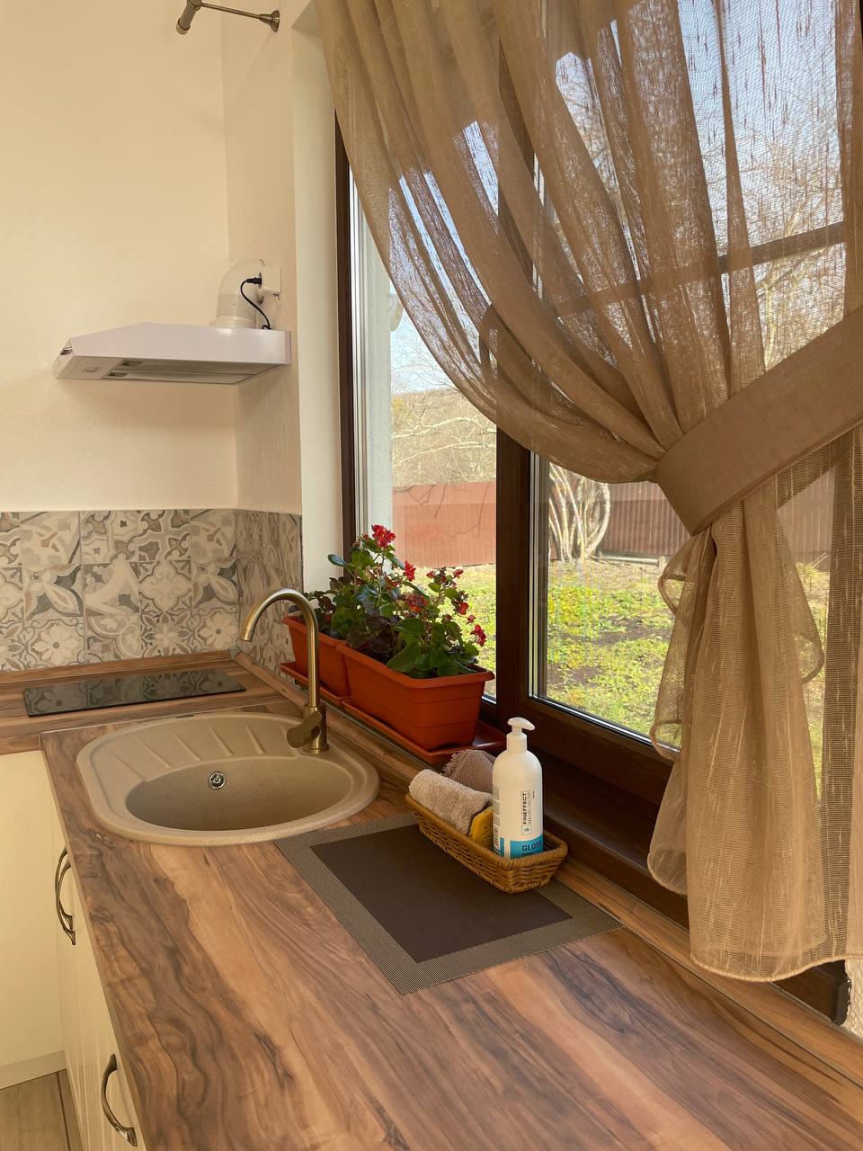 Фото Заповедный лес