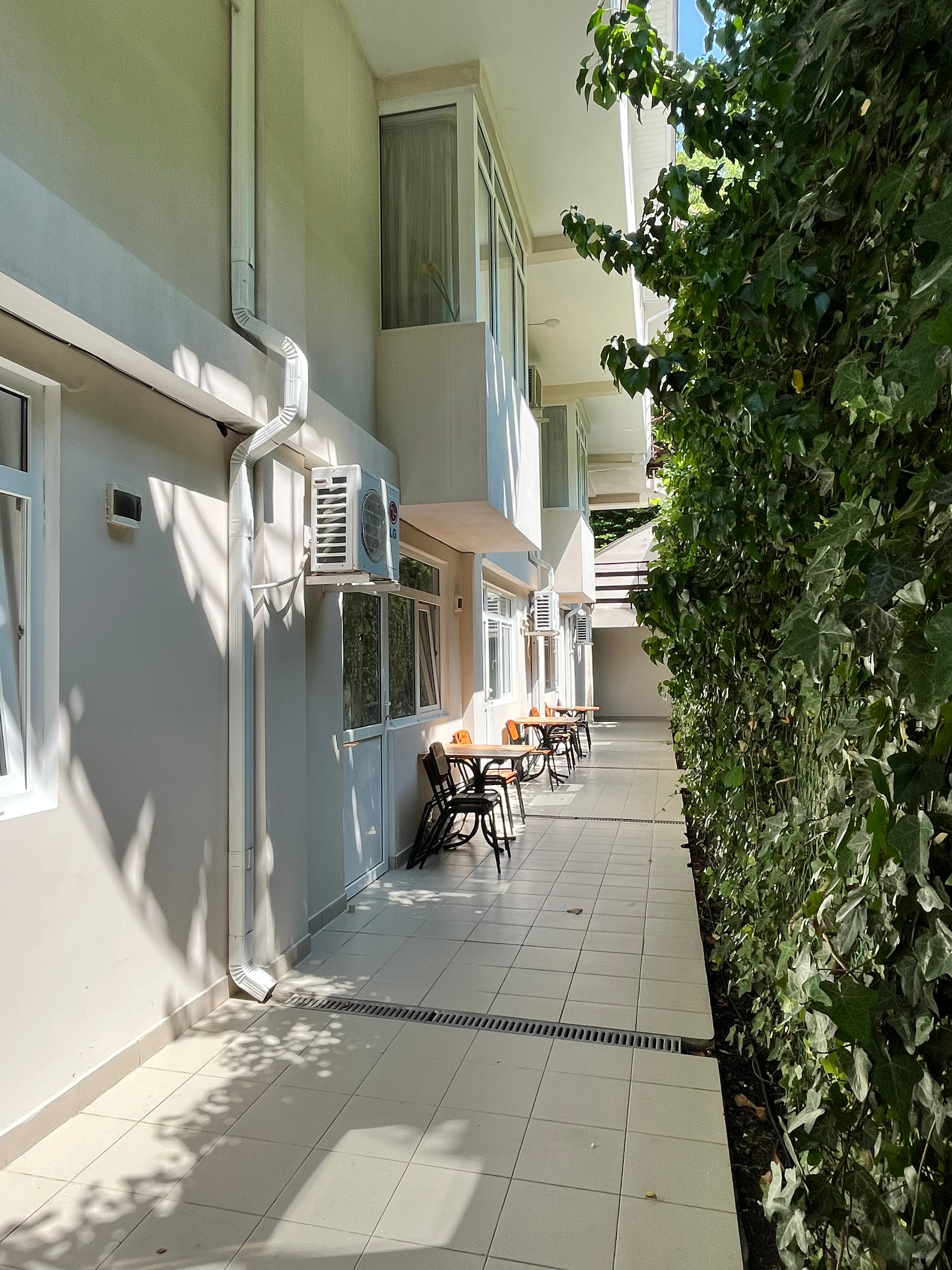 Фото Шоколад