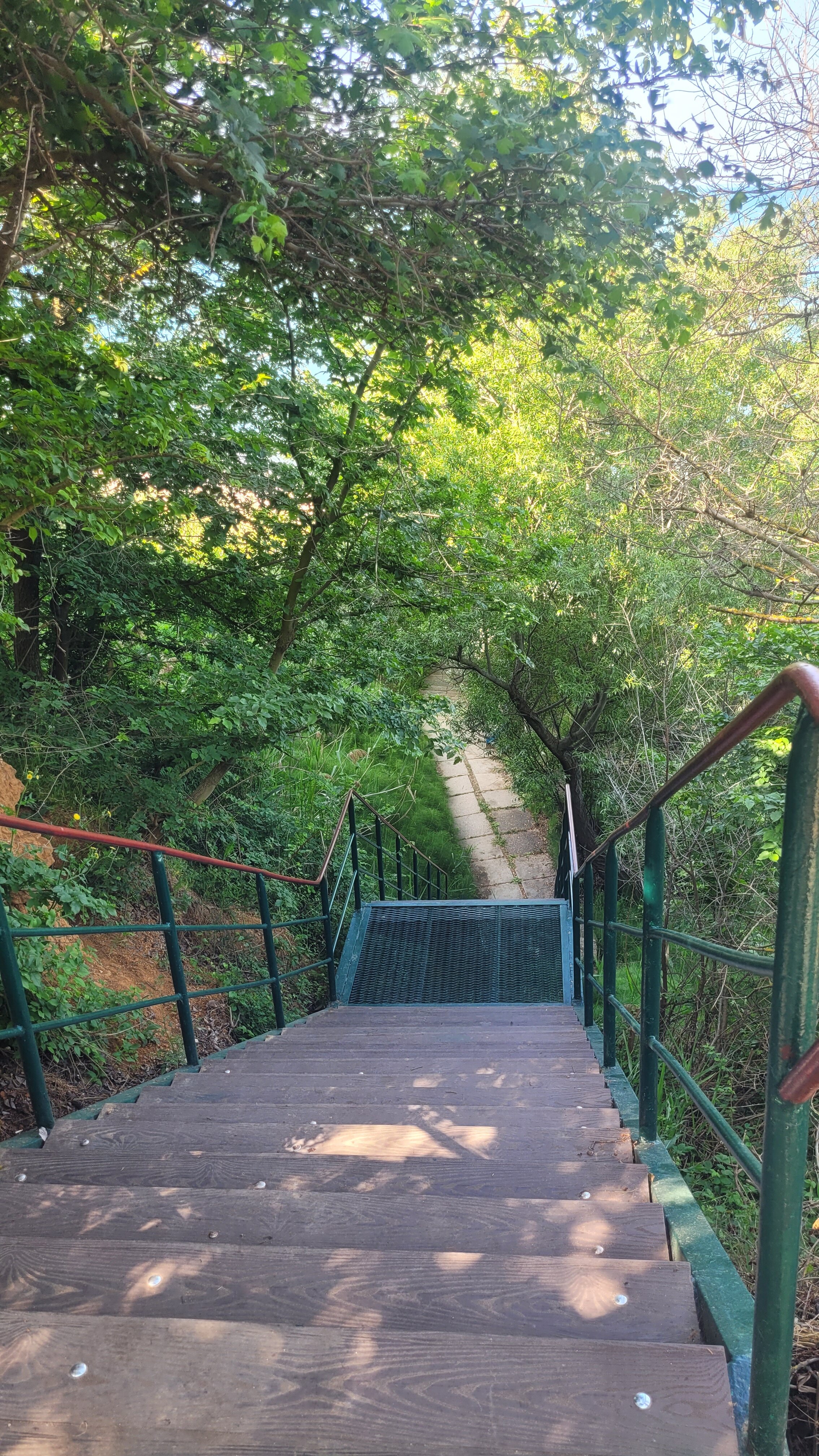 Фото Тимора