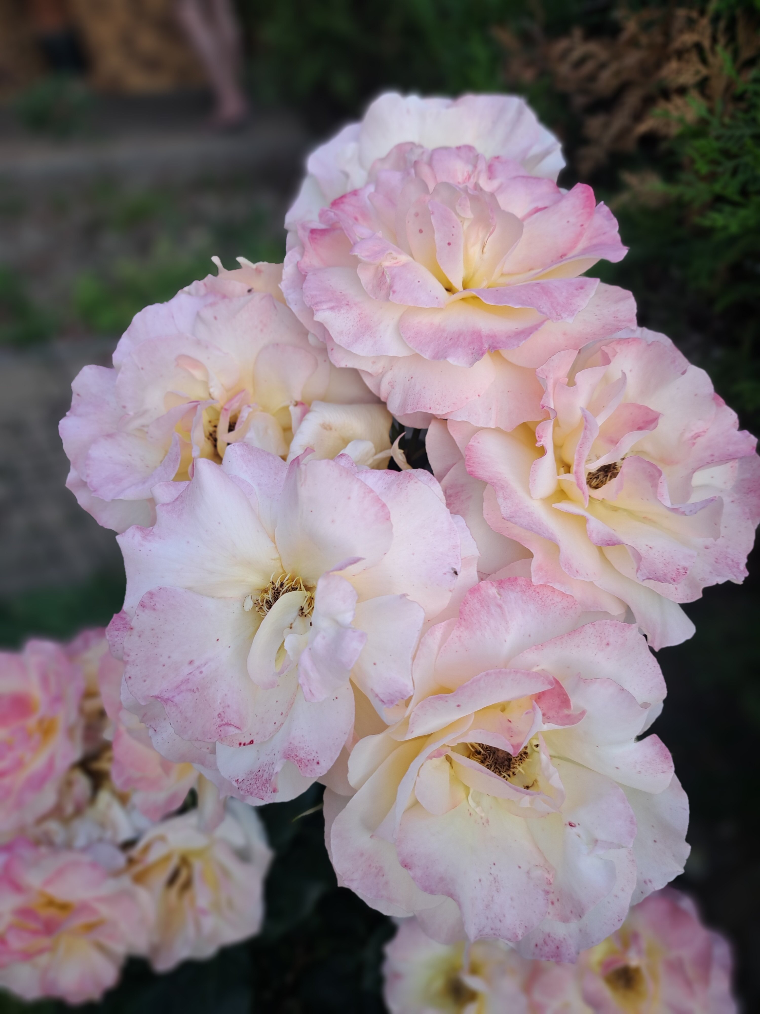 Фото Неолит