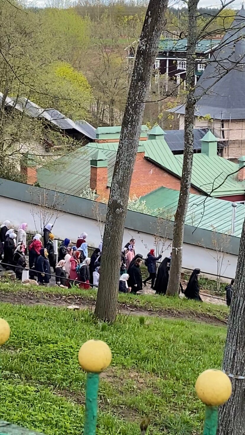 Фото Королевский пень