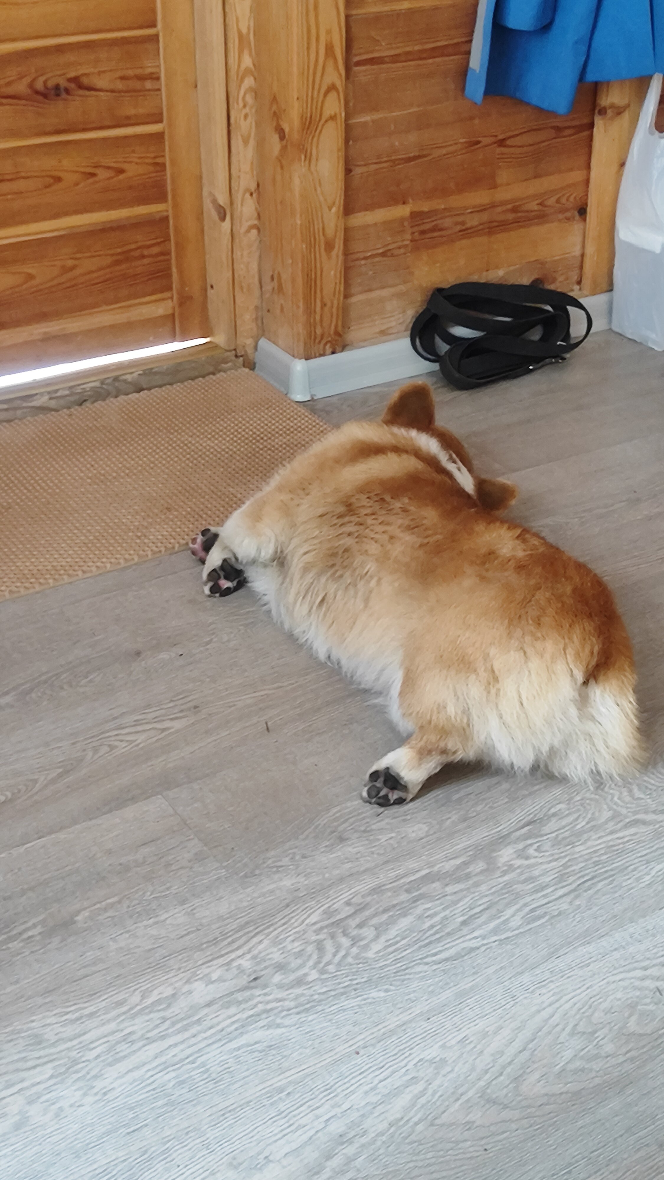 Фото Зима-Лето