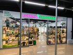Хобби Садовода (Baki Urmanche Street, 15), flower shop