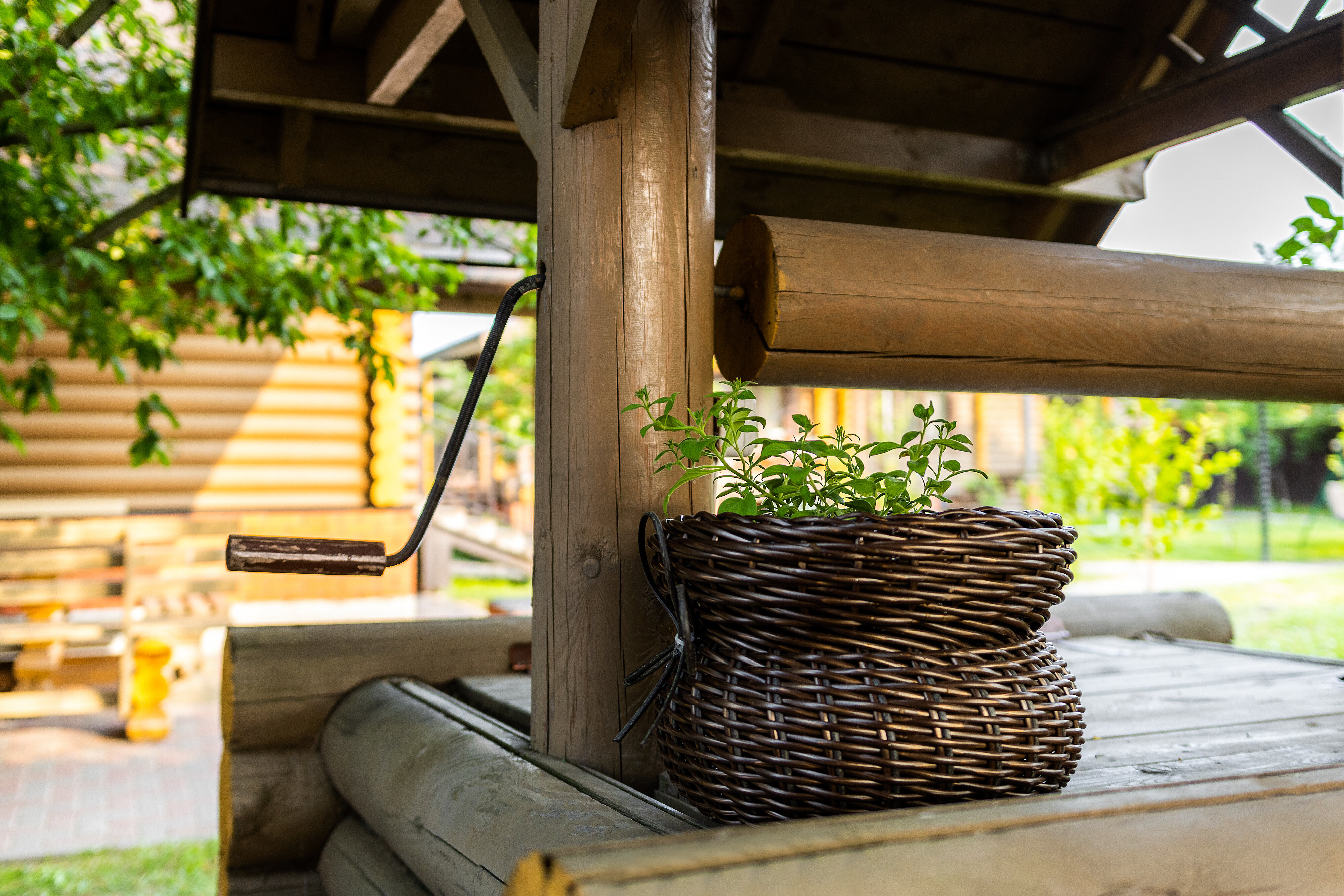 Фото Вишневый сад