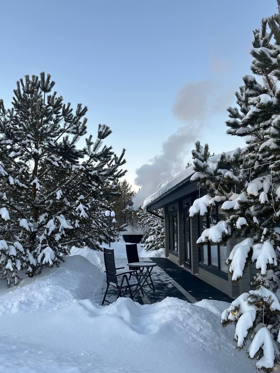 Фото Лесная симфония