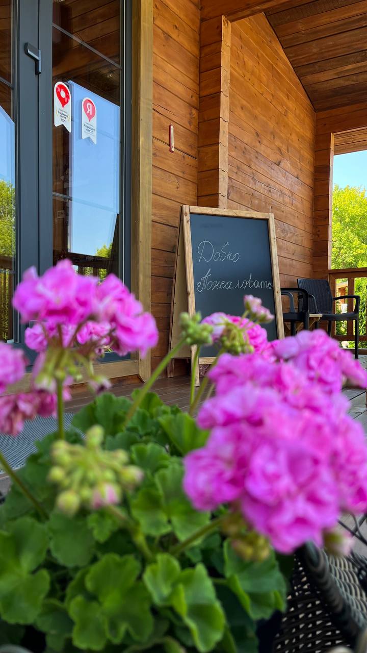 Фото Тихие Дивы