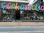 Flowers in Antalya Shopping (Antalya, Muratpasa District, Rauf Denktas Avenue, 7B), flowers and bouquets delivery