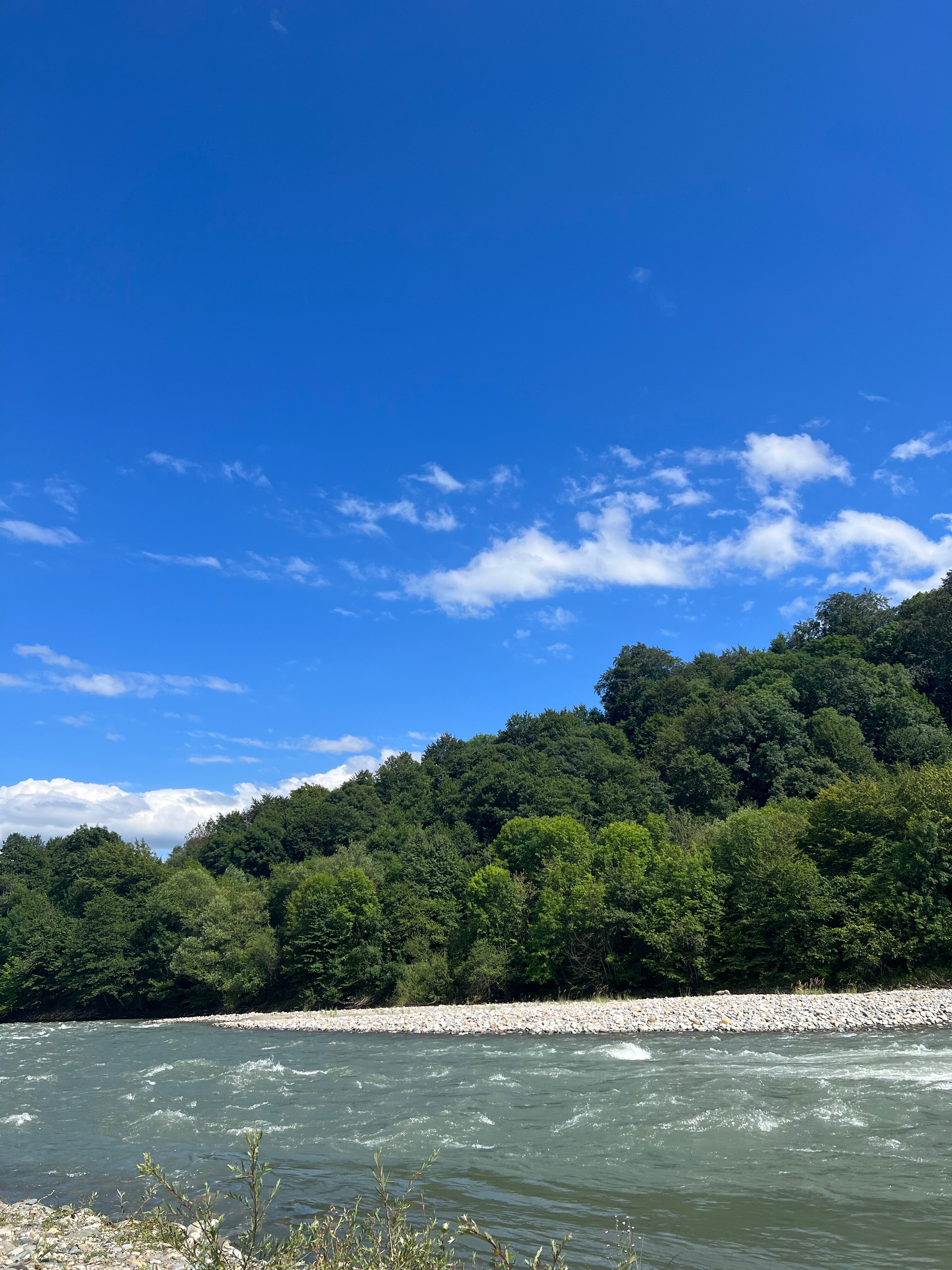 Фото Forest Village