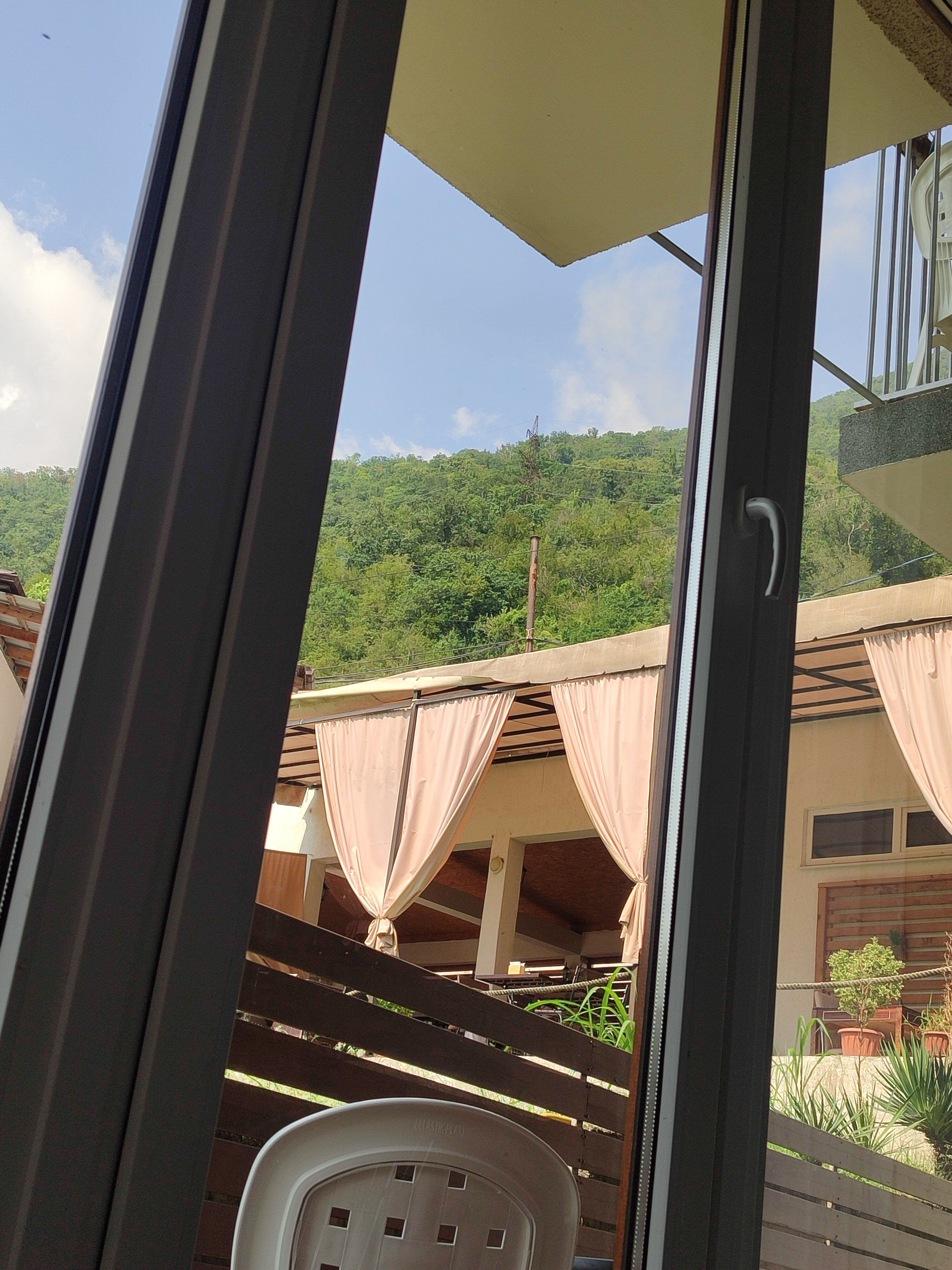 Фото Пальма