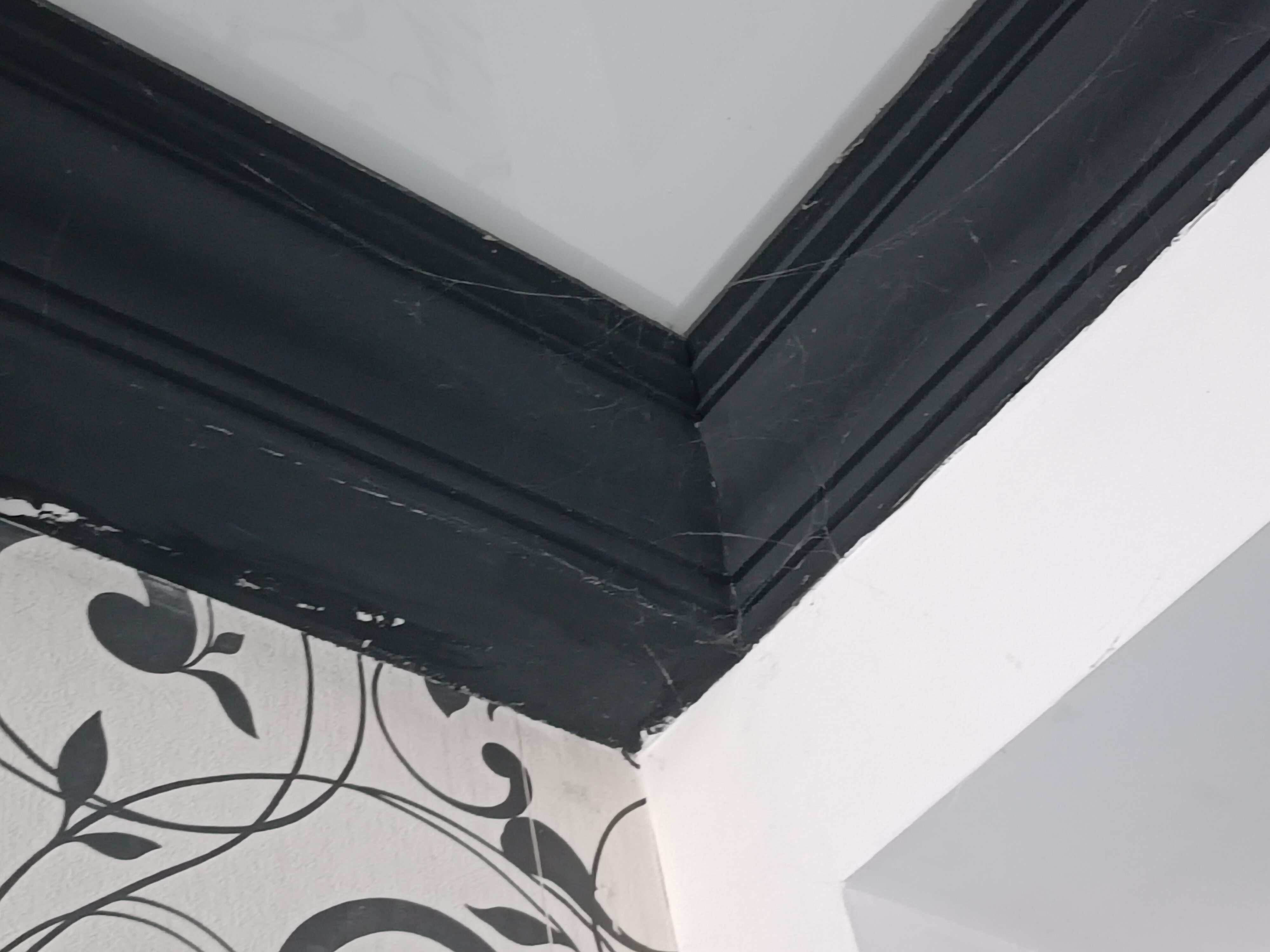 Фото Магнолия