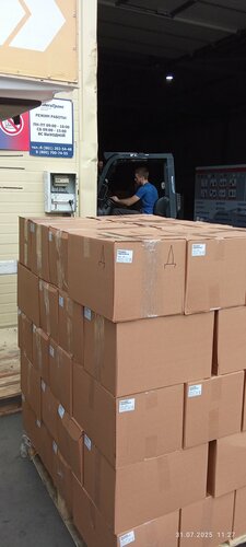 Целлюлитсіз үлкен бөкселердің порнофотосуреттері