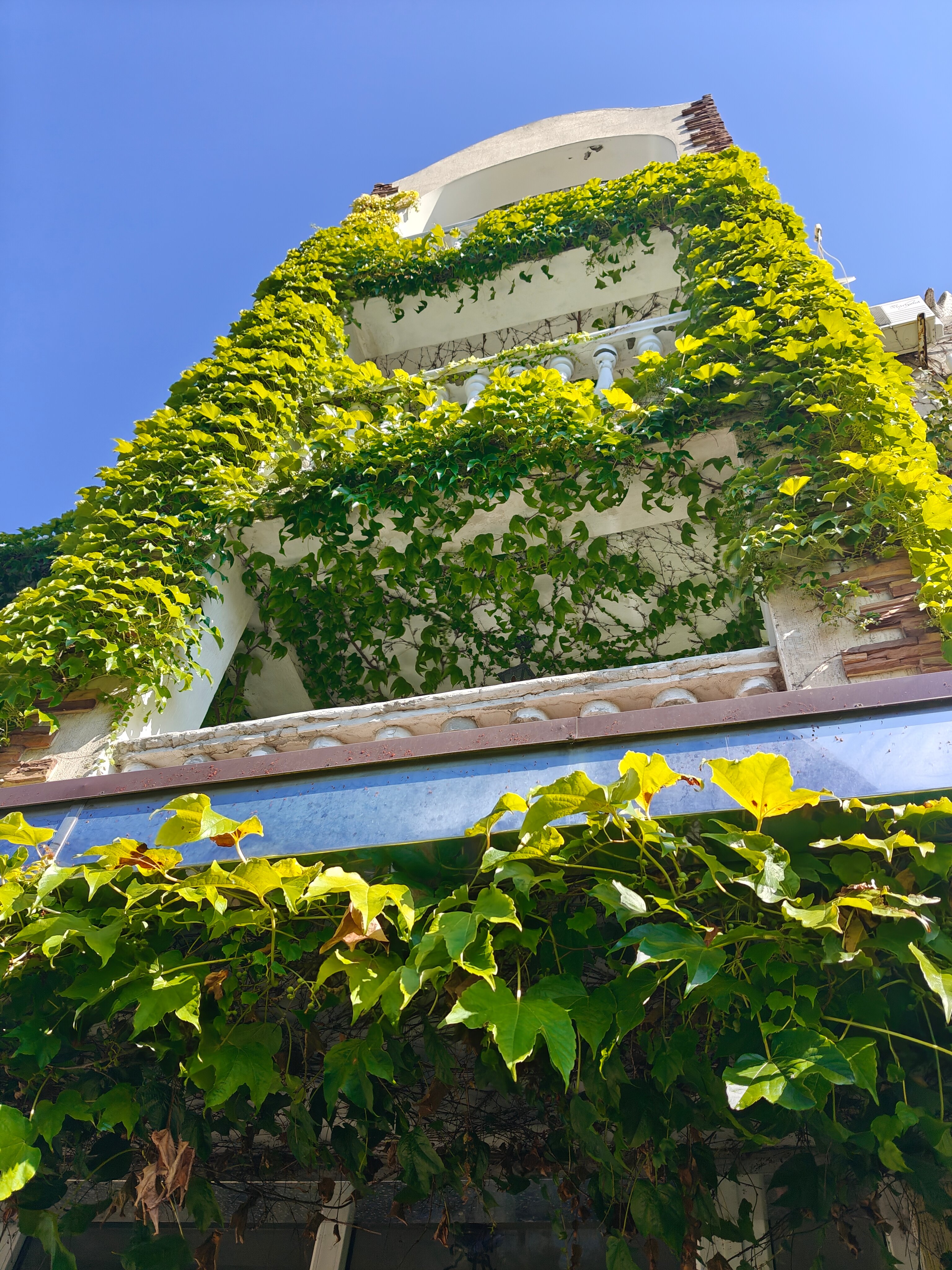 Фото Гестия