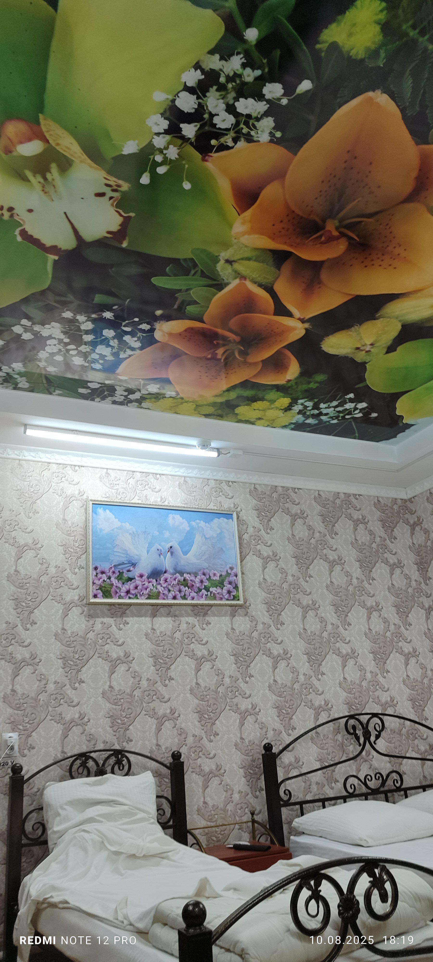 Фото Айсель