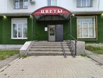 Цветы (Moskovskiy Avenue, 106), flower shop