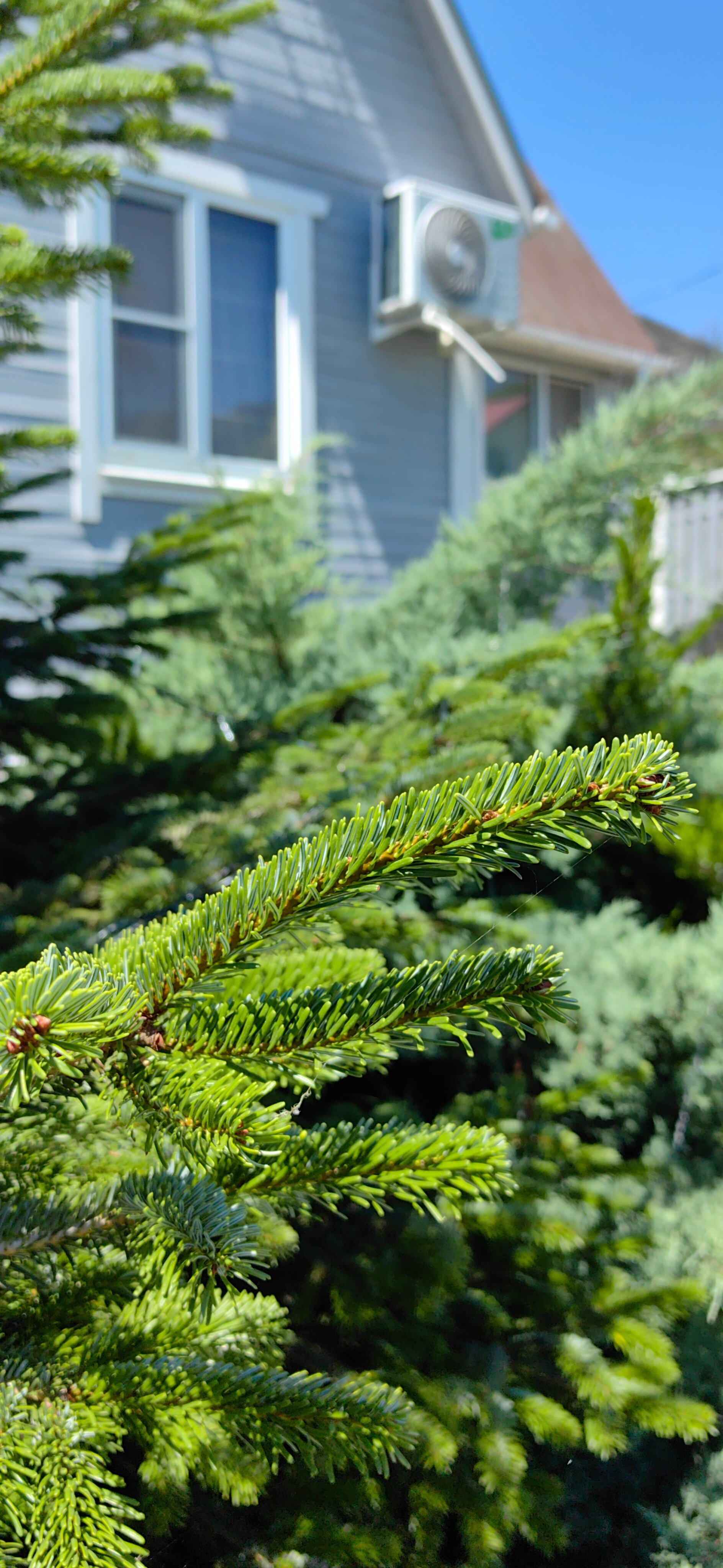 Фото Kalinin eco village