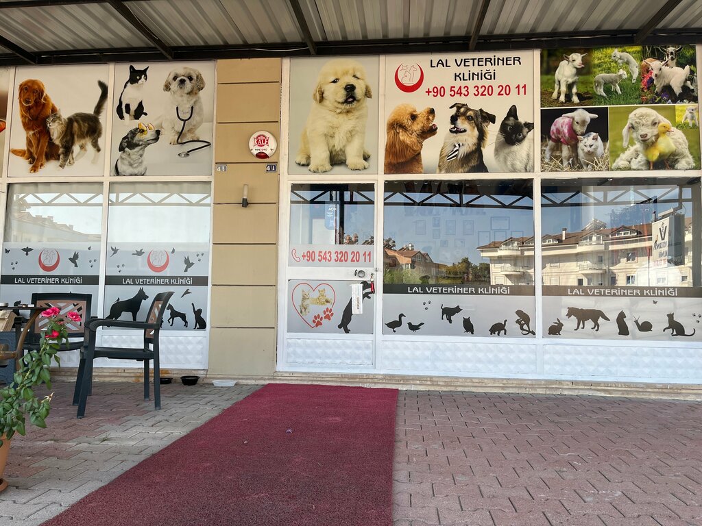 Veterinary clinic Kemer Lal Veteriner Kliniği, Kemer, photo