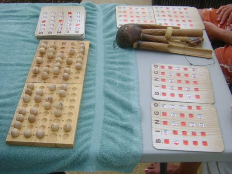 Фото Secrets Wild Orchid