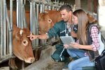 VIP Livestock (İstanbul, Beylikdüzü, Adnan Kahveci Mah., Çankaya Cad., 3), medicamentos y equipos veterinarios