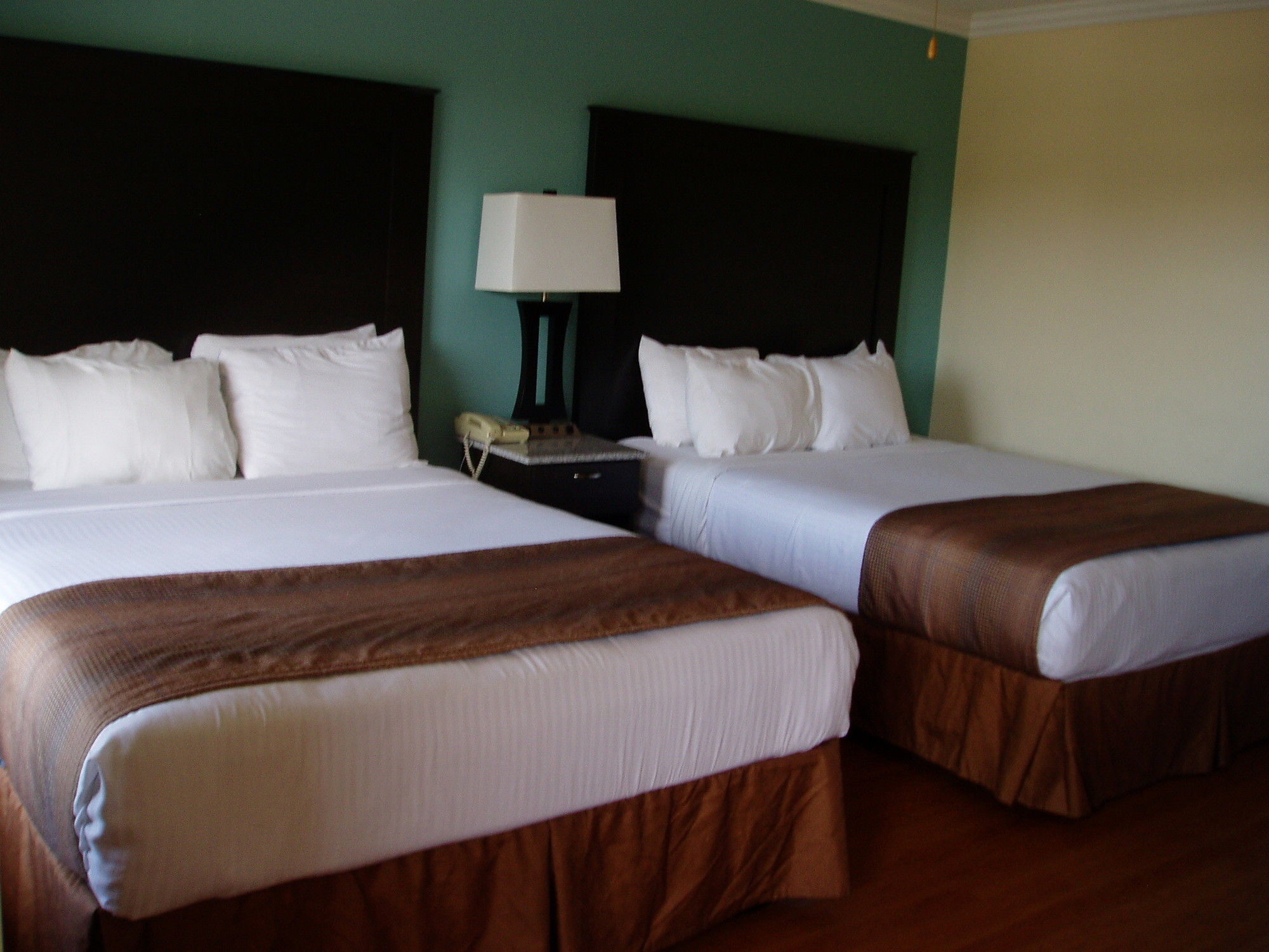 Фото Rockview Inn and Suites