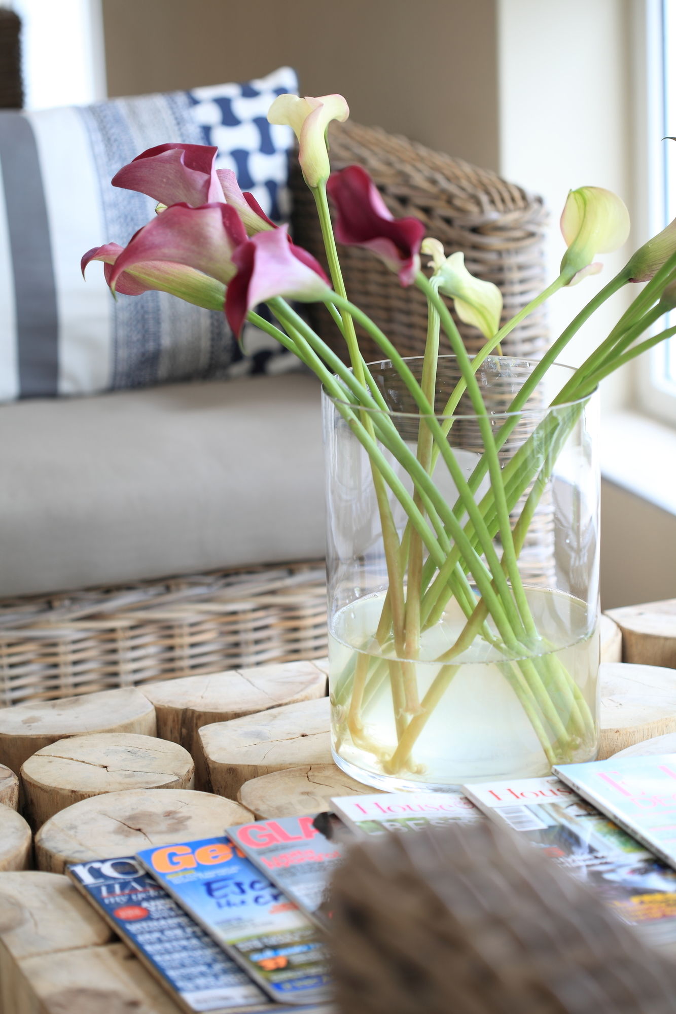 Фото Abalone Guest Lodge