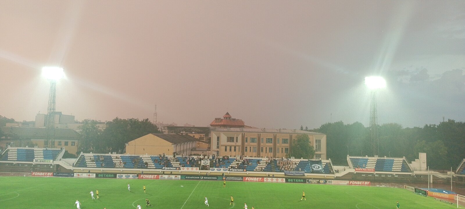 Фото Пять колец