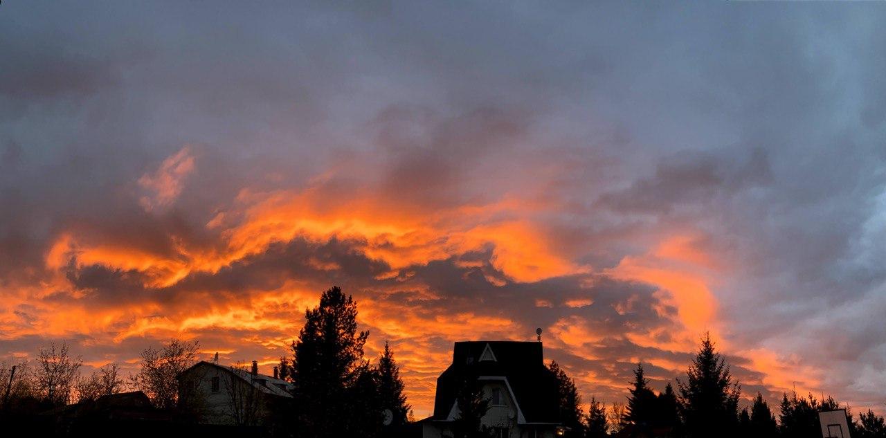 Фото Барнхаус Сова