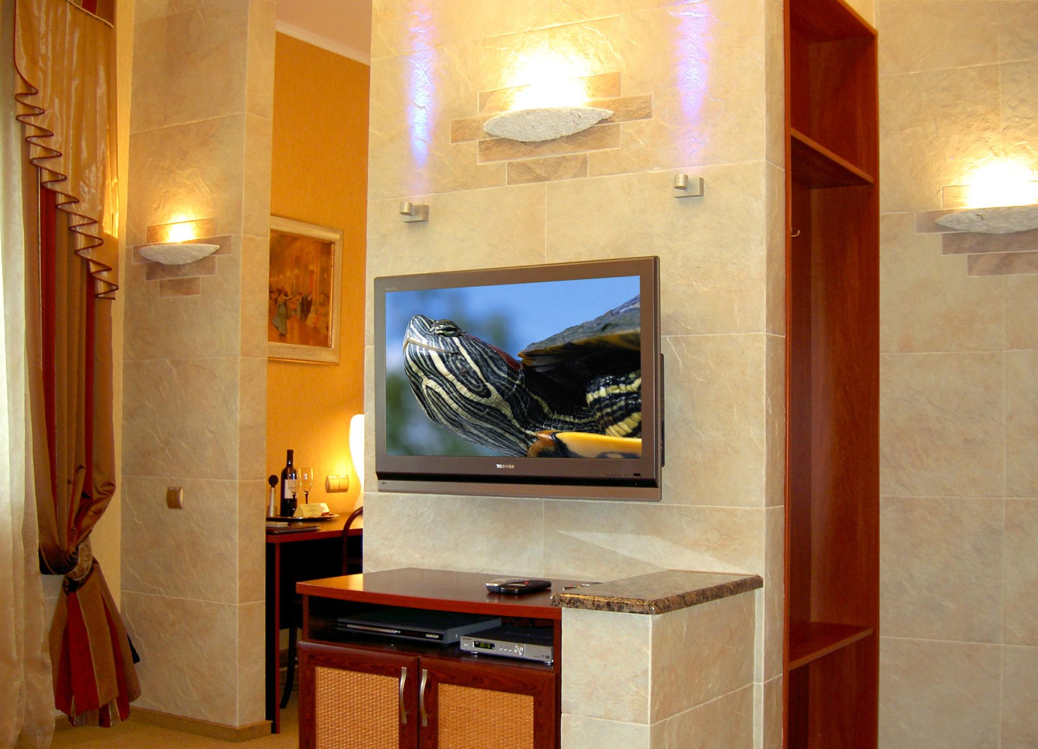 Фото Черепаха