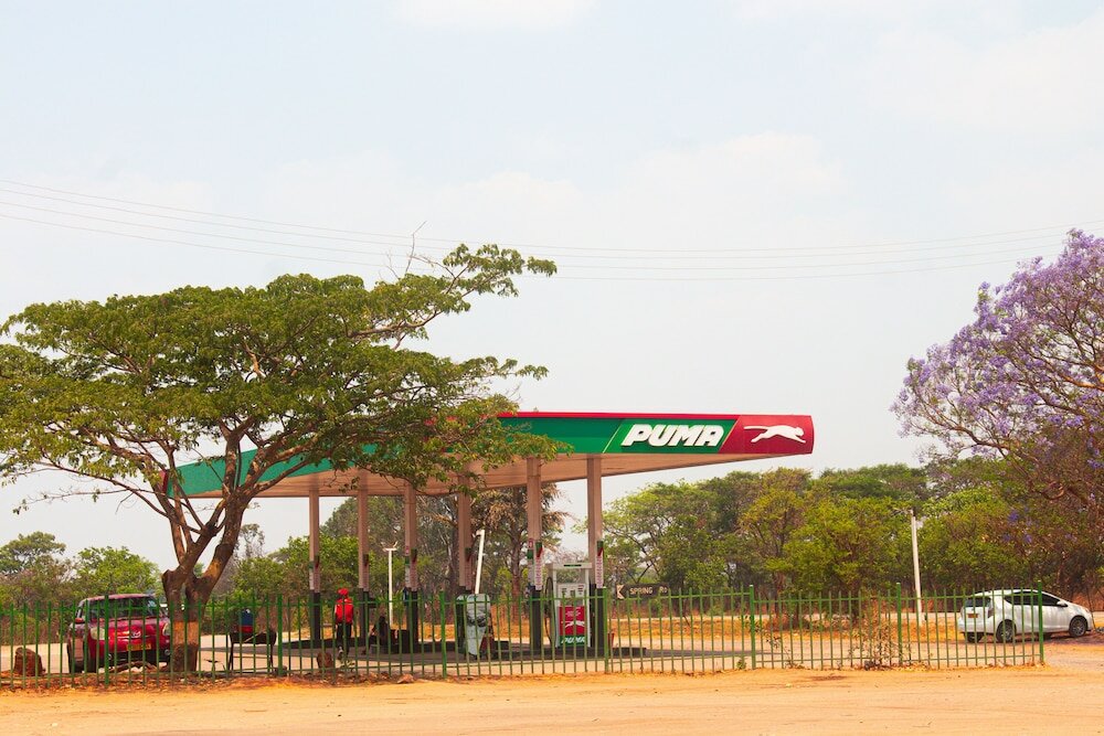 Фото Spring Resort