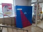 Ozon Box (Ternovskogo Street, 19Б), parcel automat