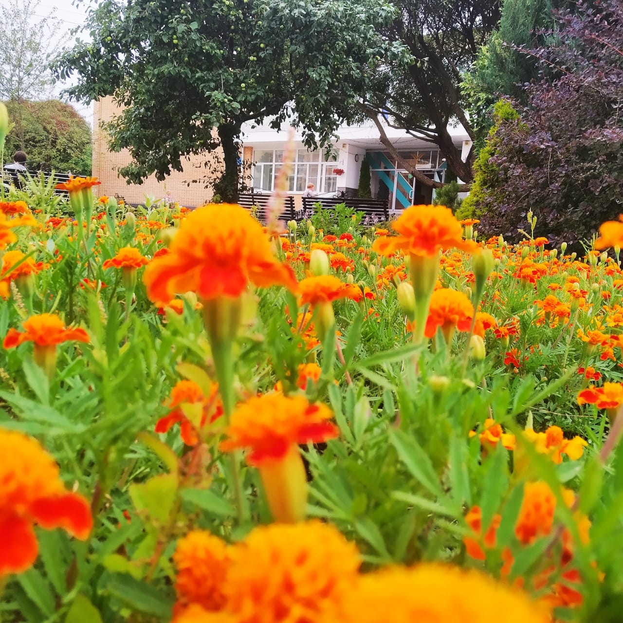 Фото Виктория