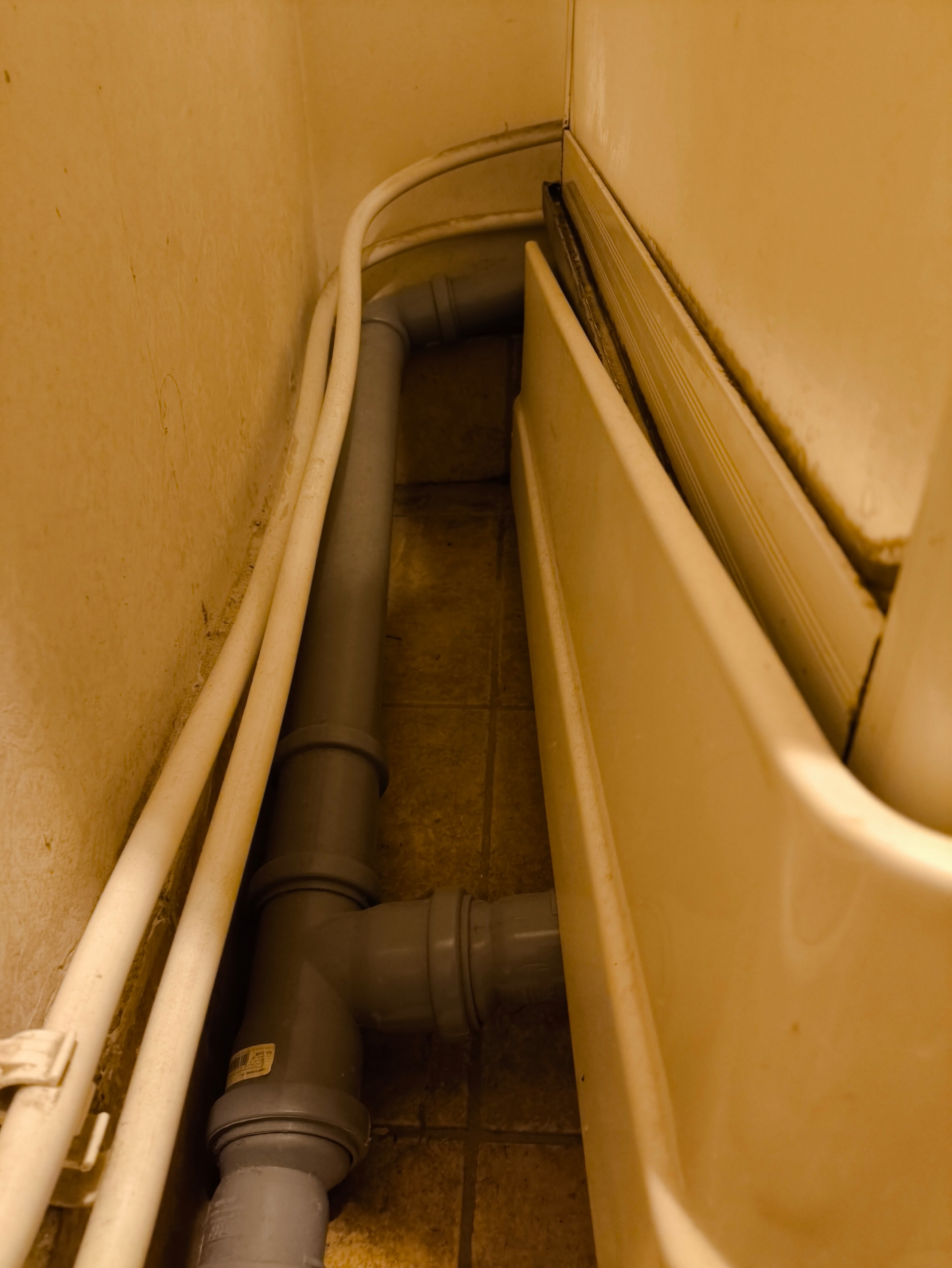 Фото Rinaldi Premier