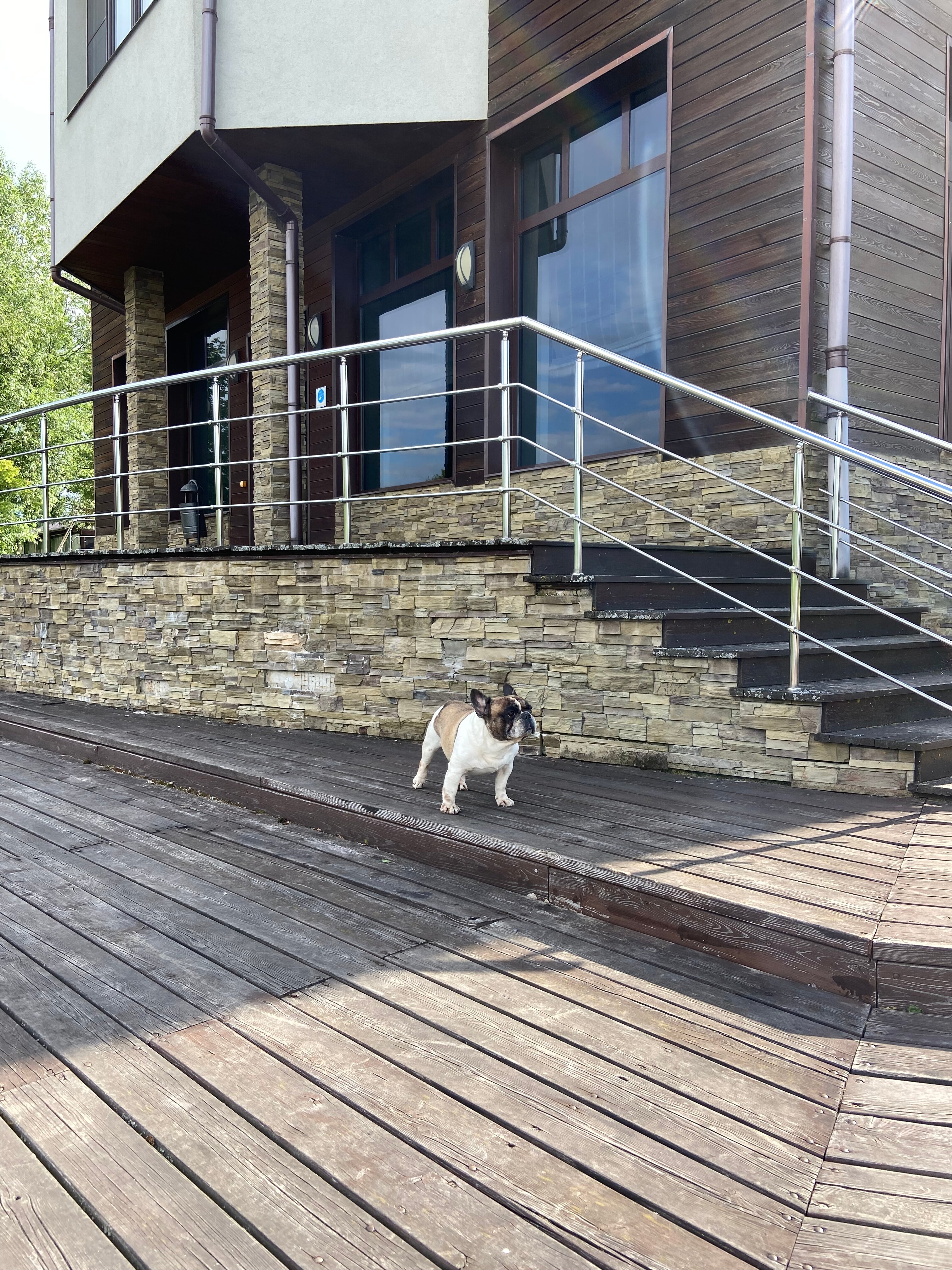 Фото Завидово Резорт