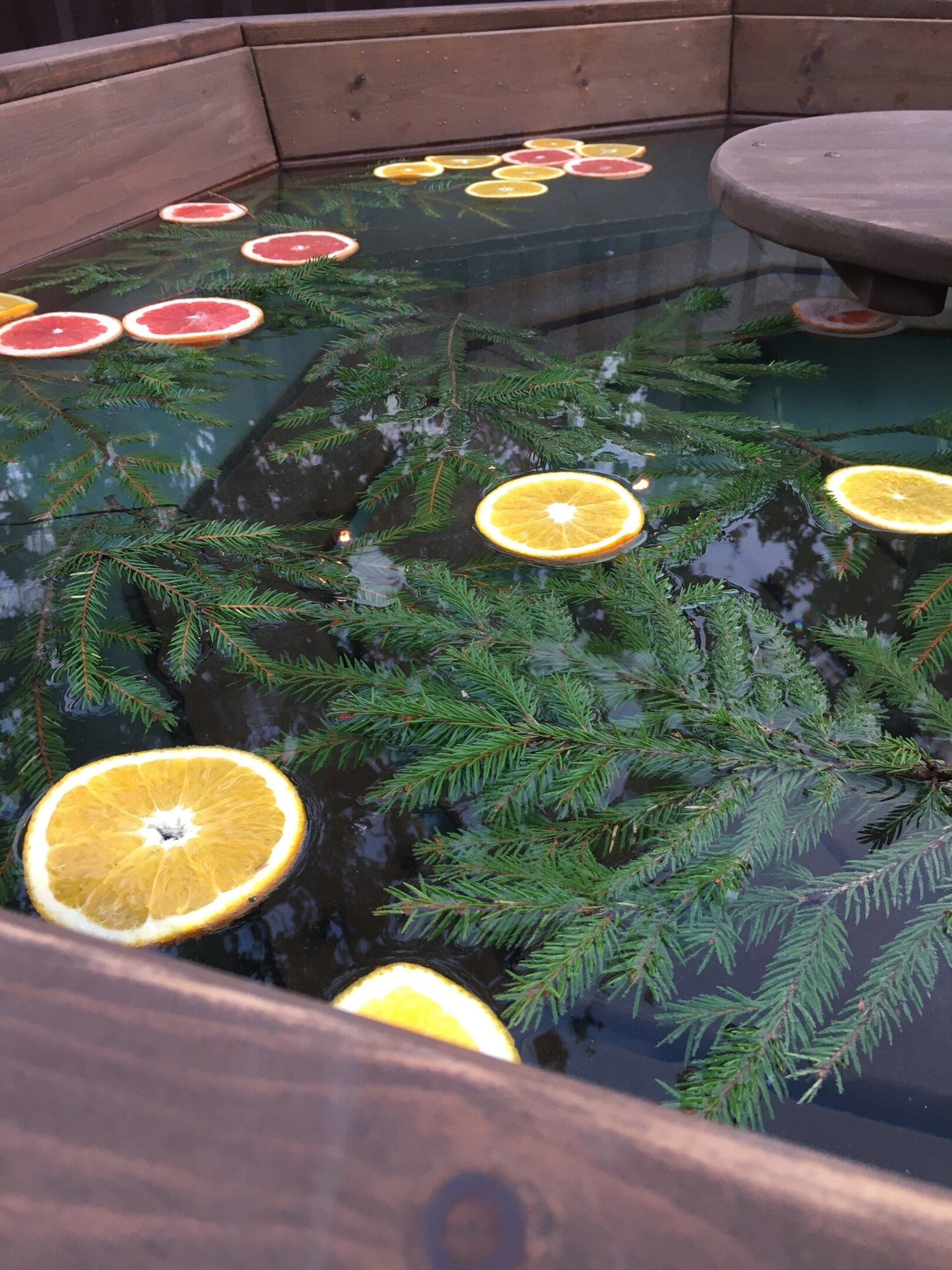 Фото Елки-палки