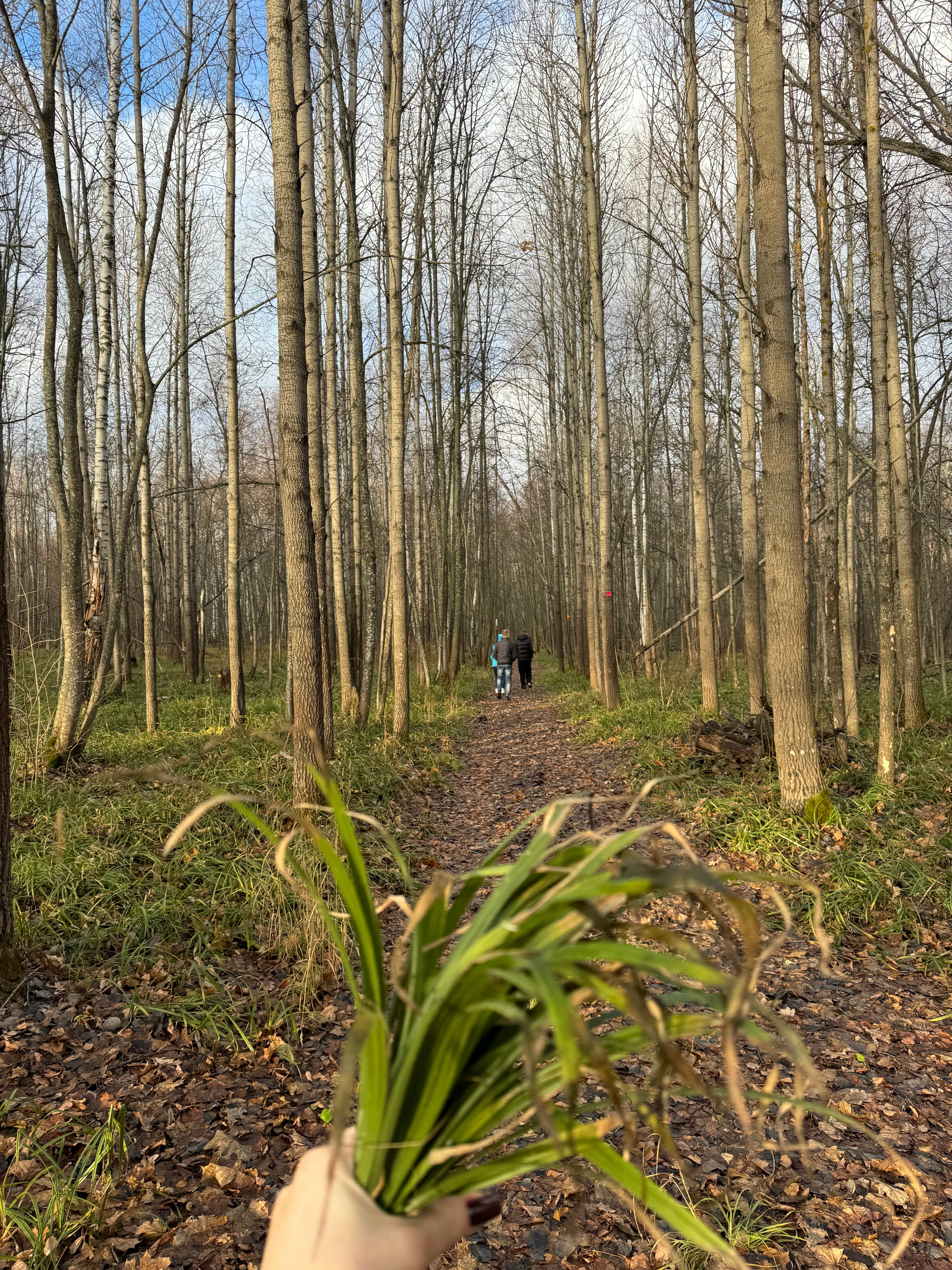 Фото Серебряный Бор