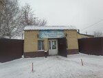 Dashenka (Tusup Kuzembaev Street, 41) ، محل بقالة